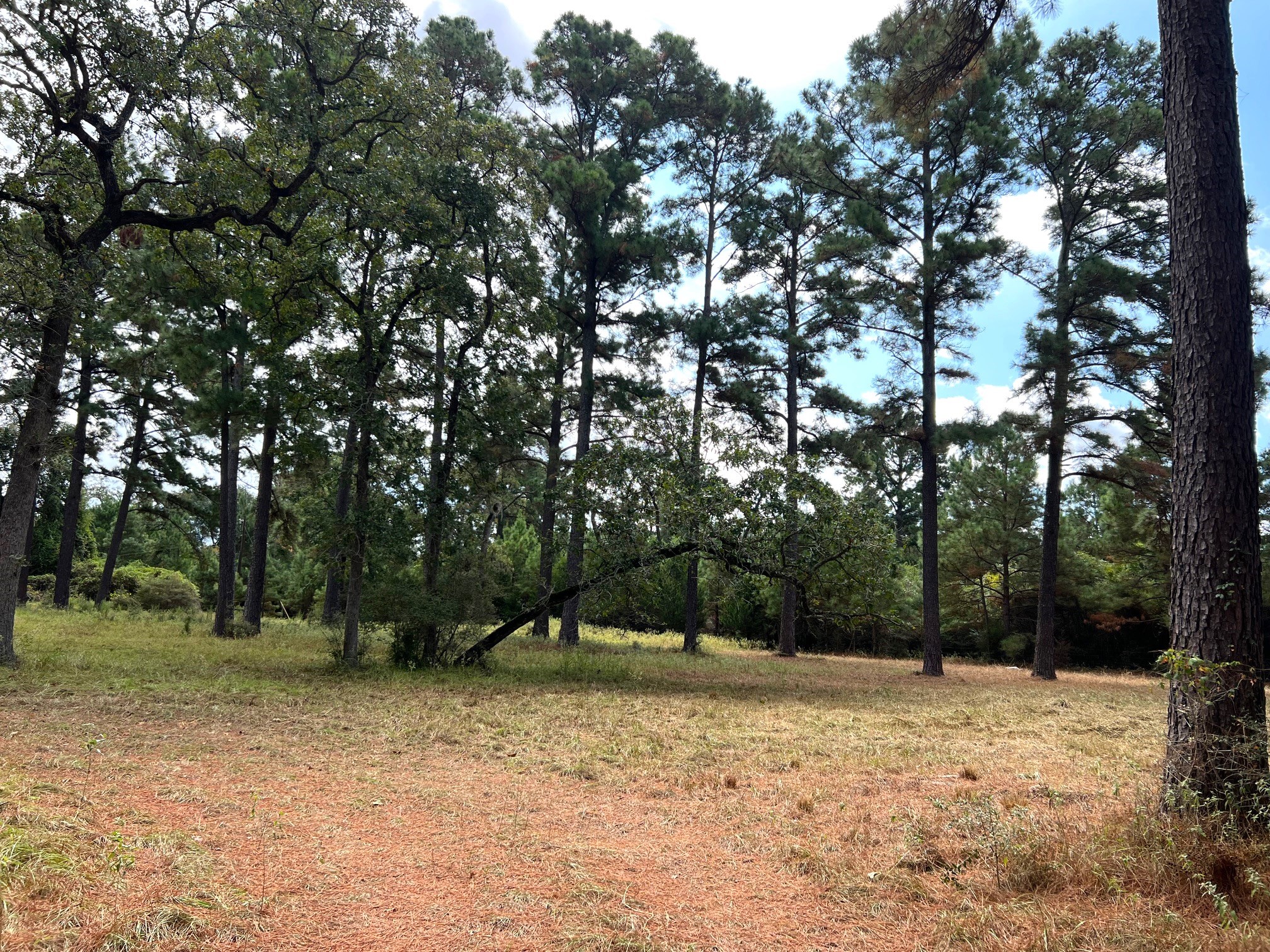 1091 Reese Lane , Columbus, TX, 78934 | 55168605 | Realty Texas LLC