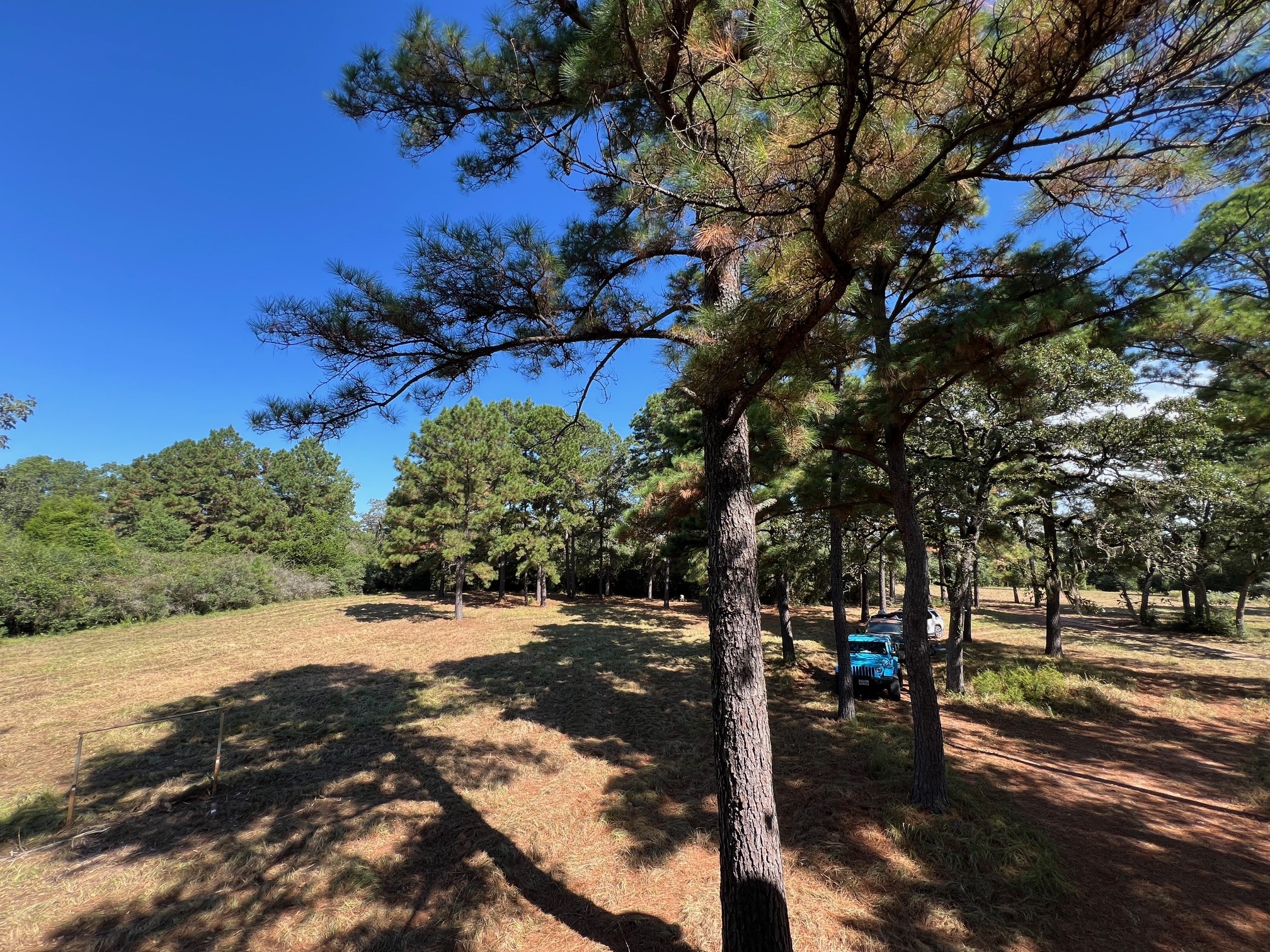 1091 Reese Lane , Columbus, TX, 78934 | 55168605 | Realty Texas LLC