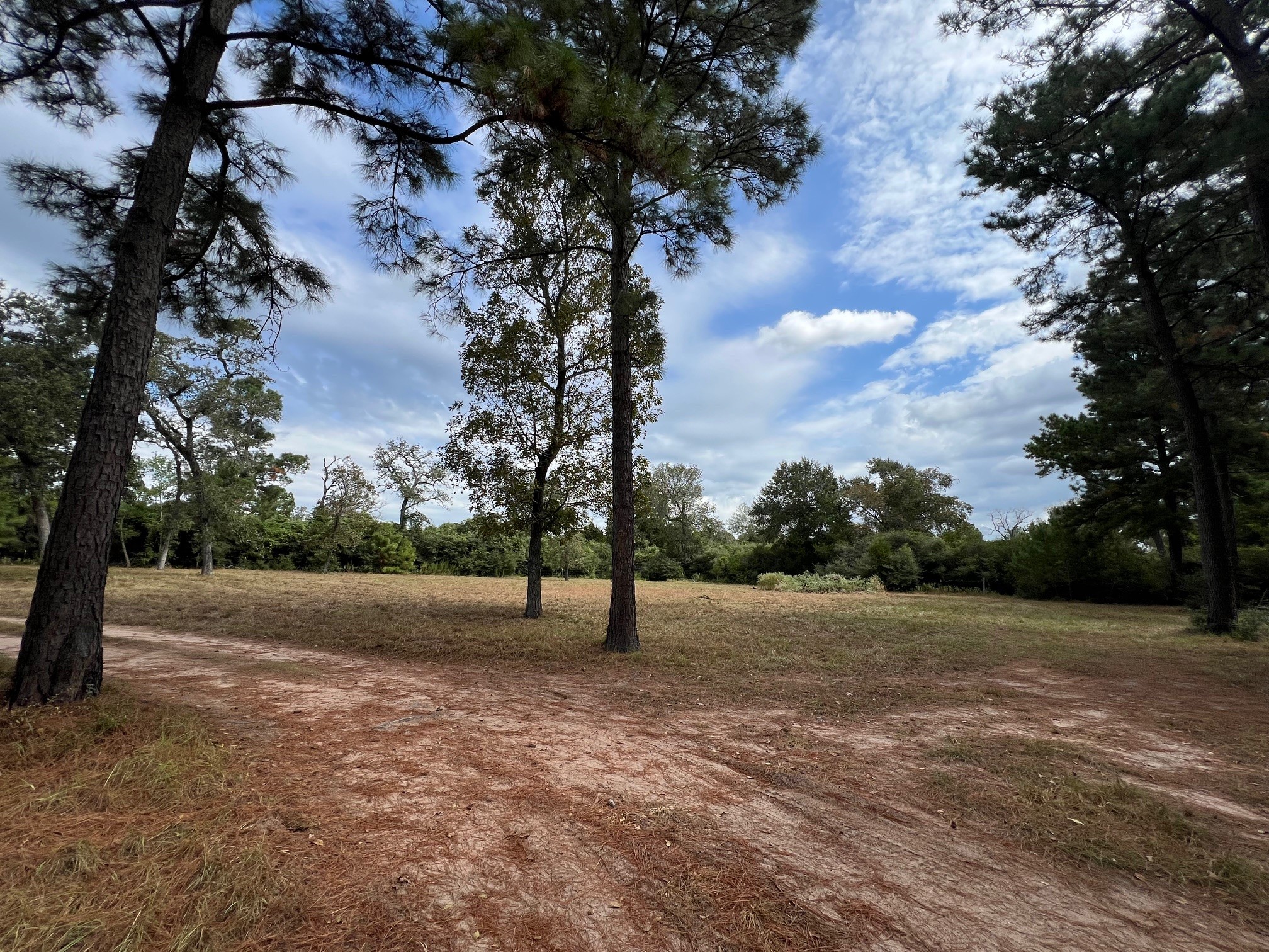 1091 Reese Lane , Columbus, TX, 78934 | 55168605 | Realty Texas LLC