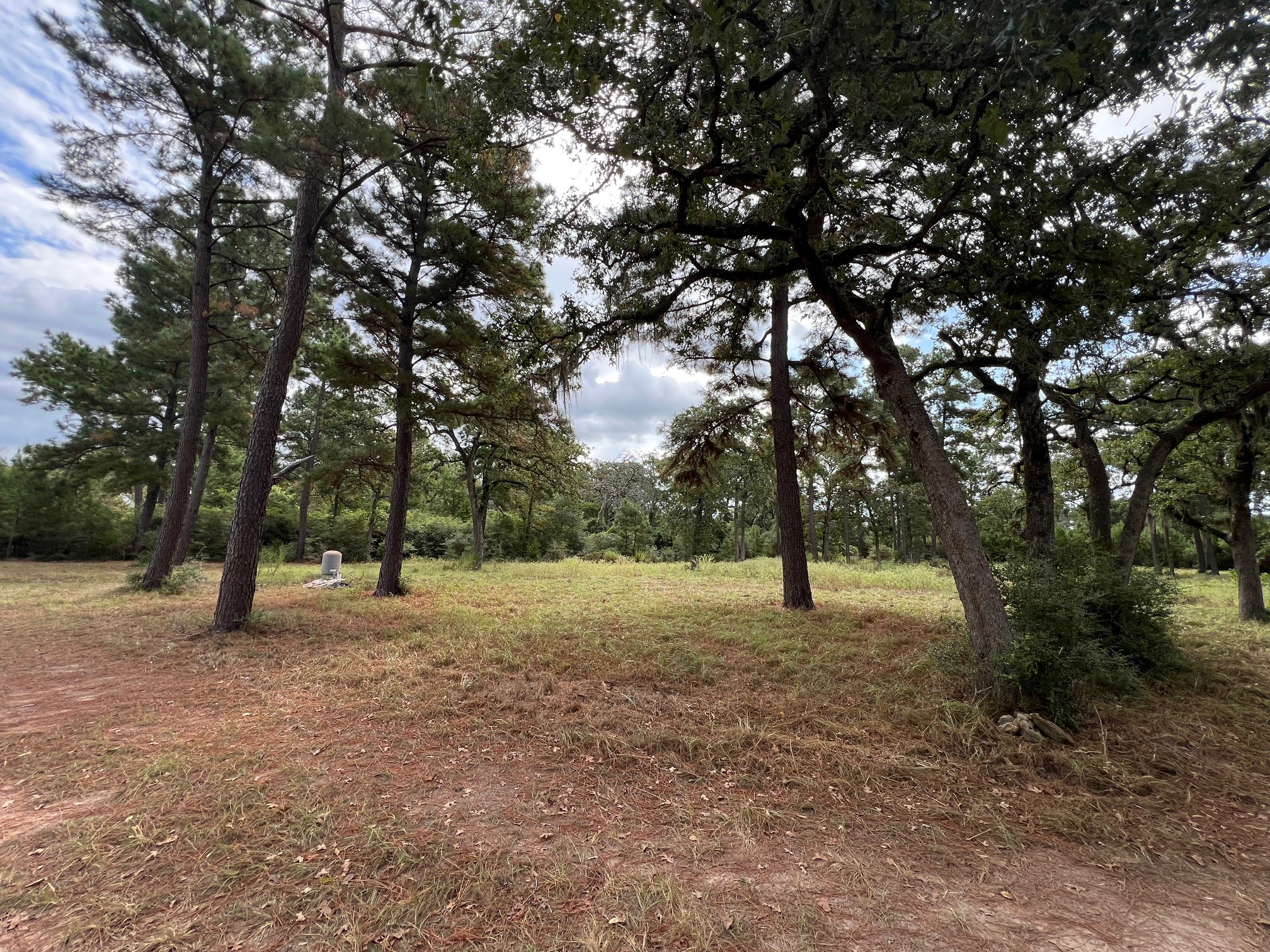 1091 Reese Lane , Columbus, TX, 78934 | 55168605 | Realty Texas LLC
