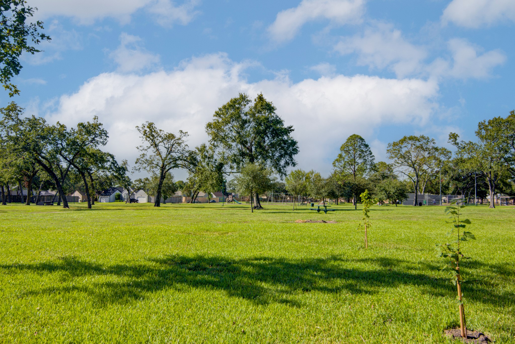 2261 Broadlawn Drive , Houston, TX, 77058 | 8977893 | Realty Texas LLC