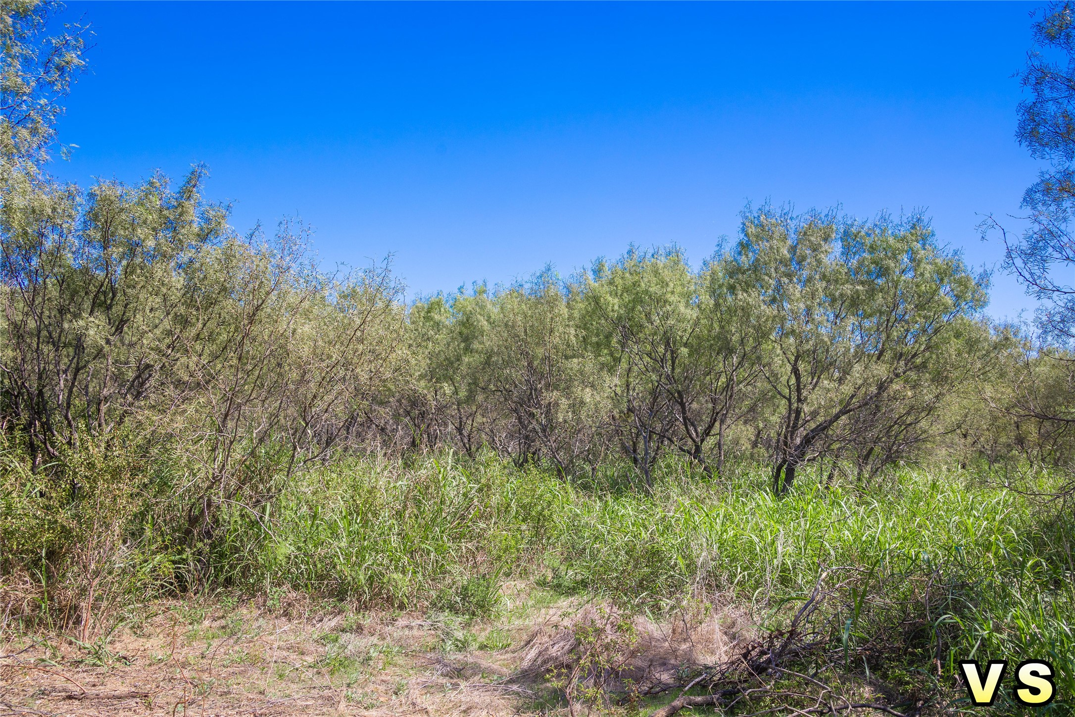 Lot A County Road 489 , May, TX, 76857 | 20747572 | Realty Texas LLC