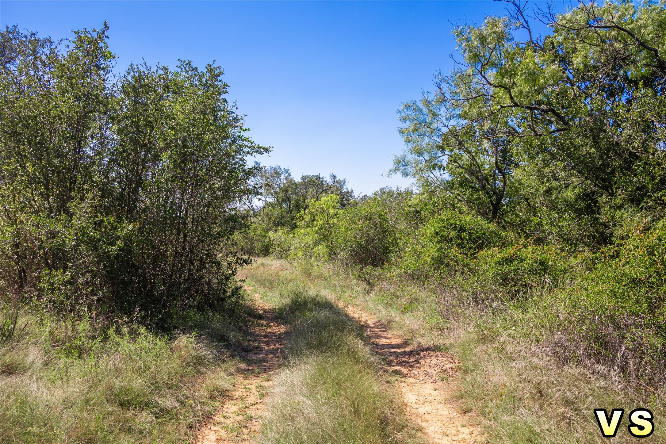 Lot A County Road 489 , May, TX, 76857 | 20747572 | Realty Texas LLC