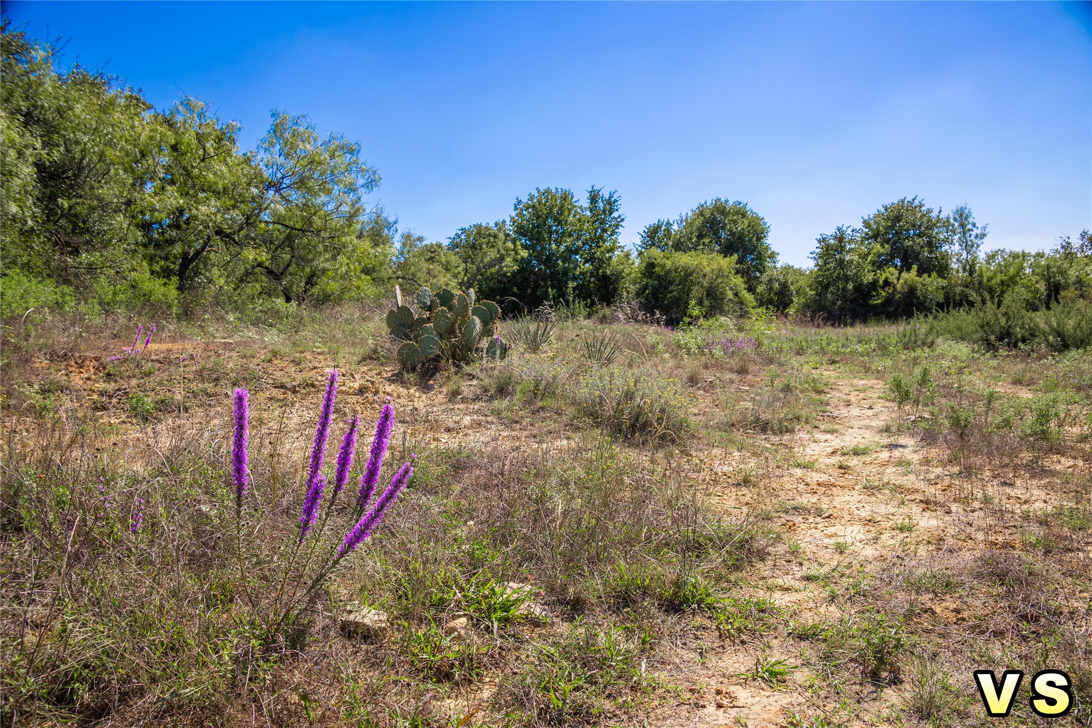 Lot A County Road 489 , May, TX, 76857 | 20747572 | Realty Texas LLC