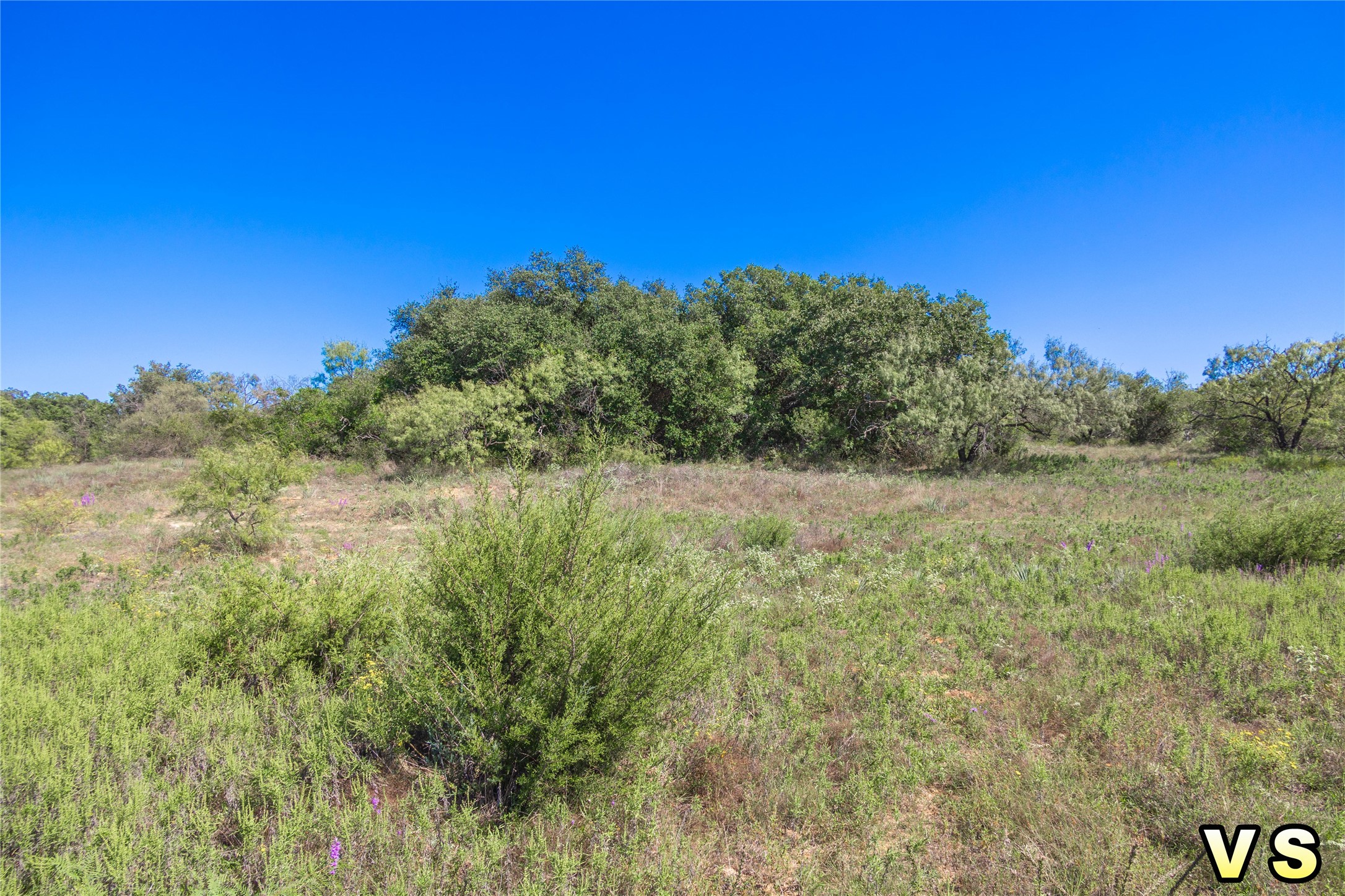 Lot A County Road 489 , May, TX, 76857 | 20747572 | Realty Texas LLC