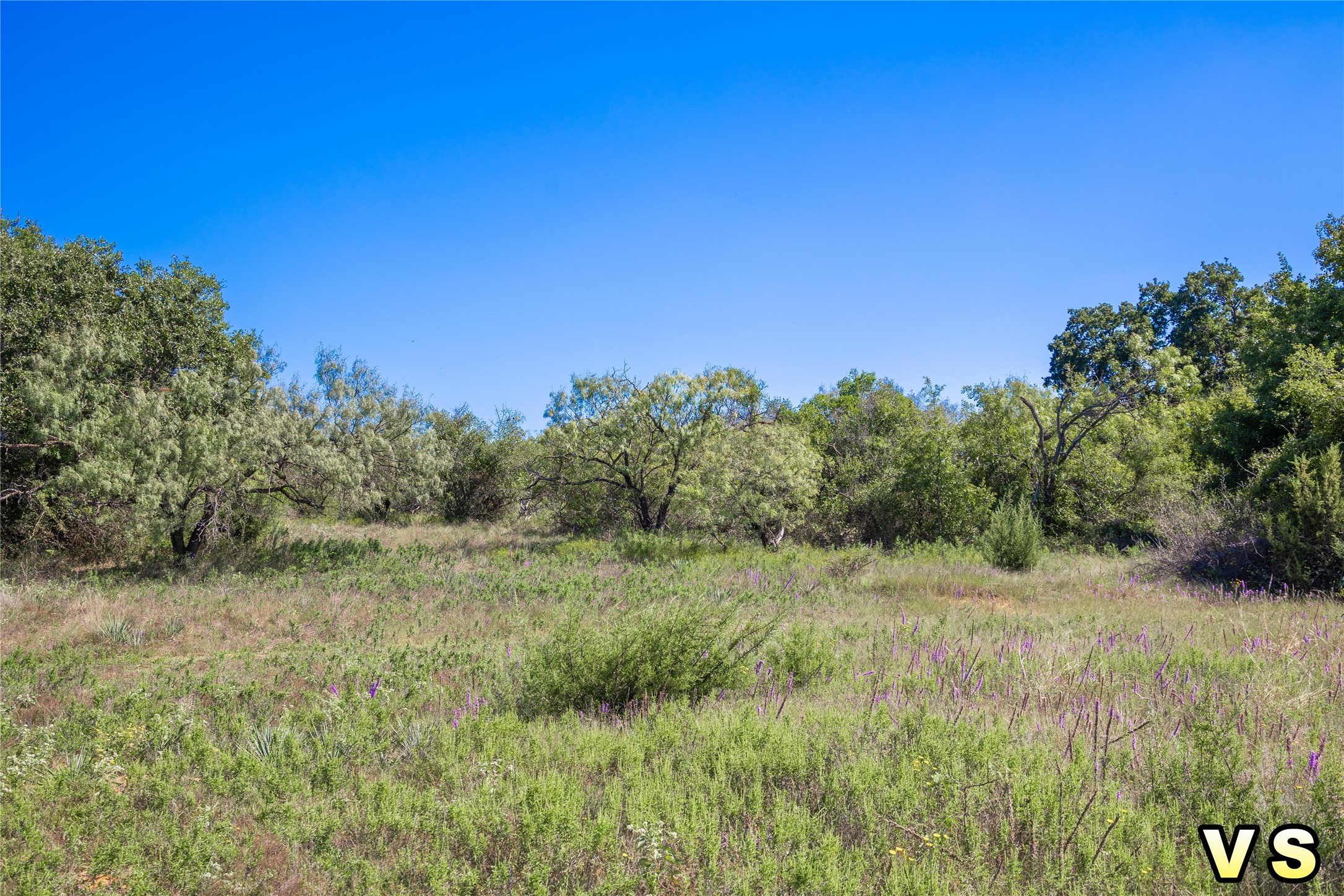 Lot A County Road 489 , May, TX, 76857 | 20747572 | Realty Texas LLC