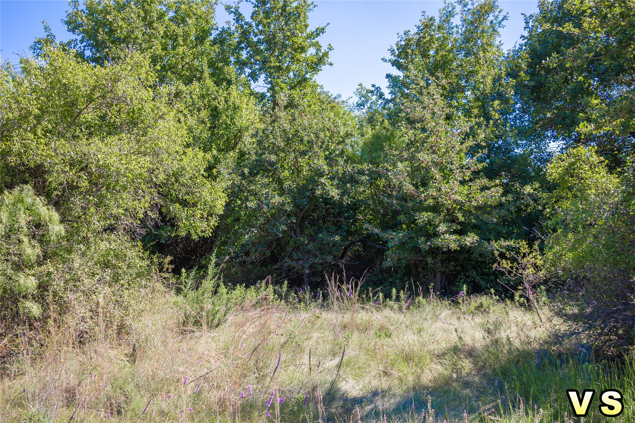 Lot A County Road 489 , May, TX, 76857 | 20747572 | Realty Texas LLC