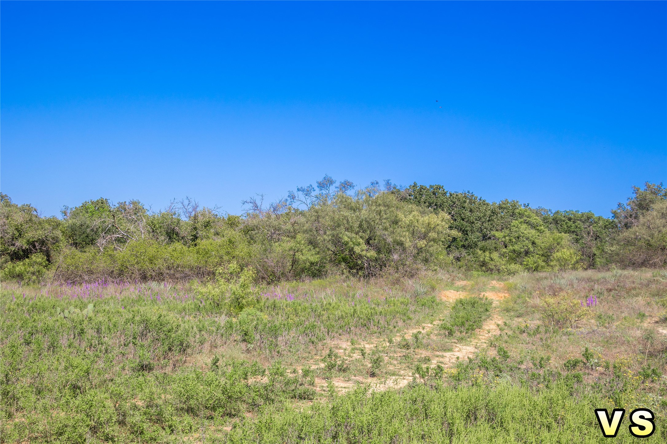 Lot A County Road 489 , May, TX, 76857 | 20747572 | Realty Texas LLC