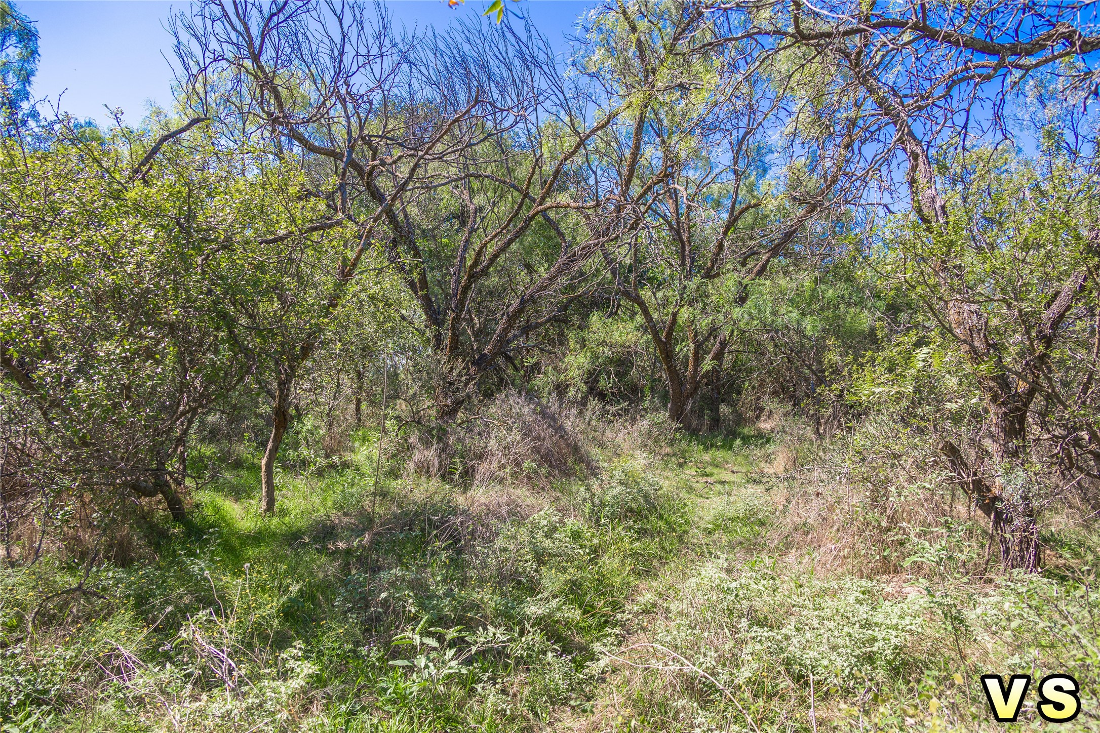 Lot A County Road 489 , May, TX, 76857 | 20747572 | Realty Texas LLC