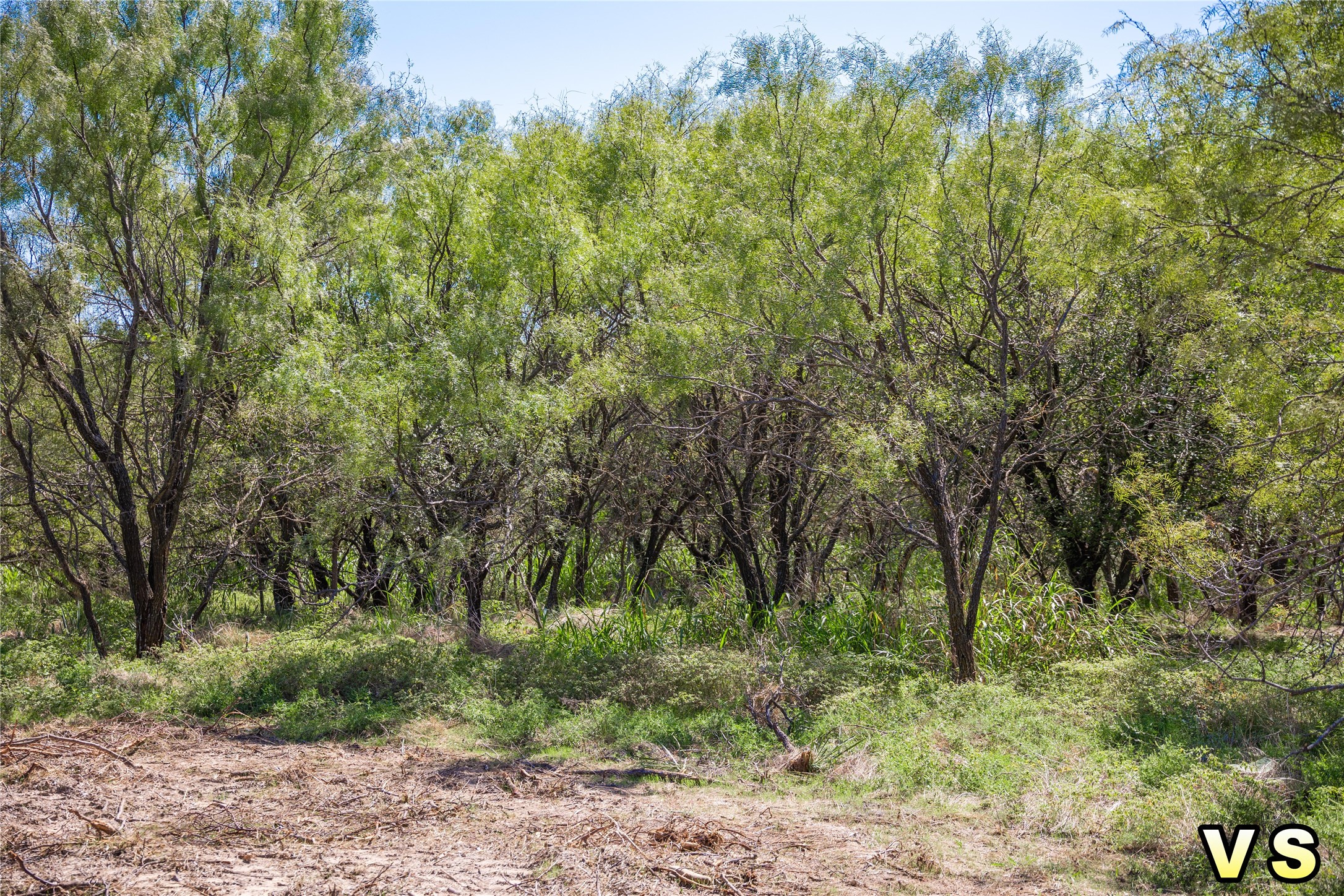 Lot A County Road 489 , May, TX, 76857 | 20747572 | Realty Texas LLC
