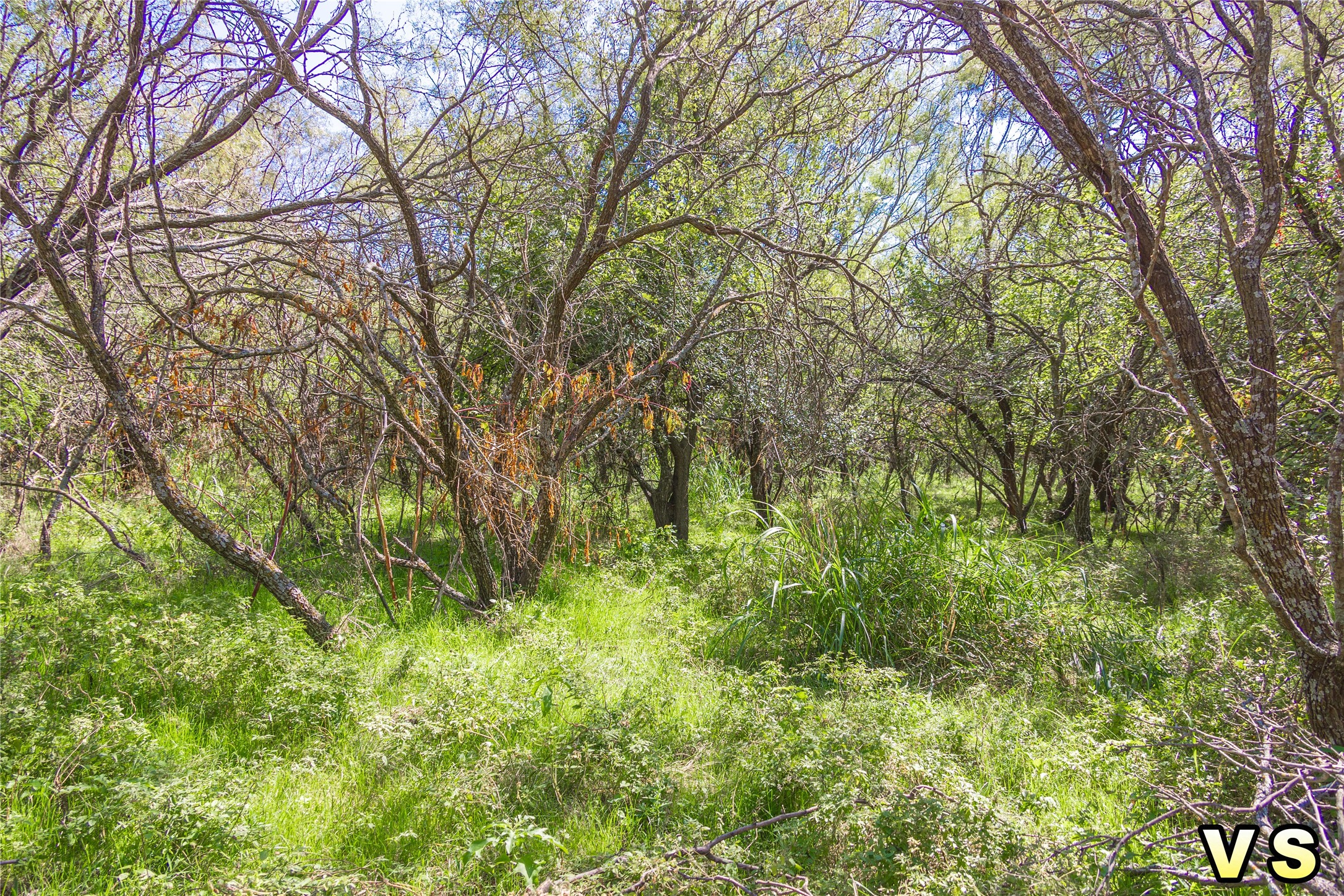 Lot A County Road 489 , May, TX, 76857 | 20747572 | Realty Texas LLC