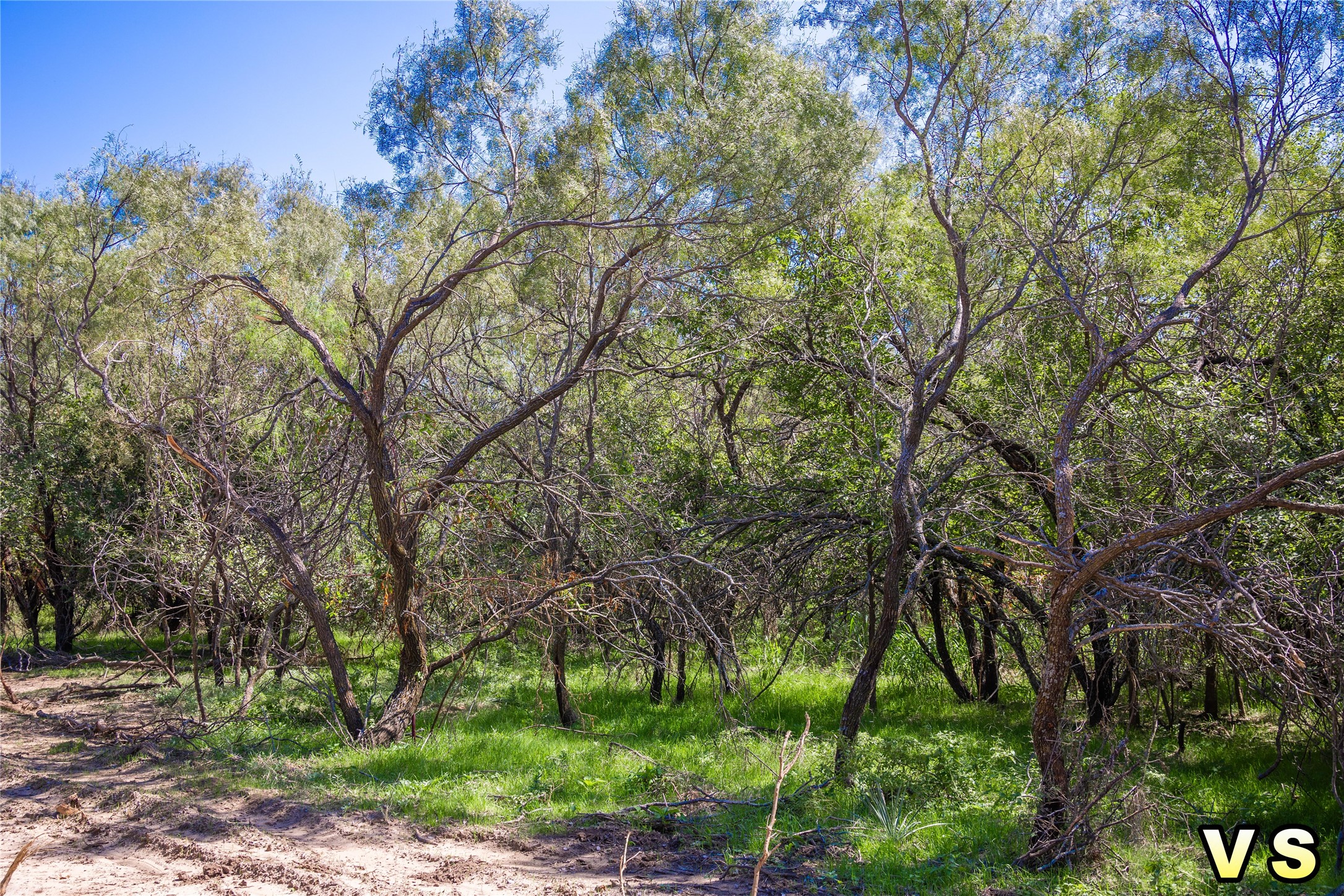 Lot A County Road 489 , May, TX, 76857 | 20747572 | Realty Texas LLC
