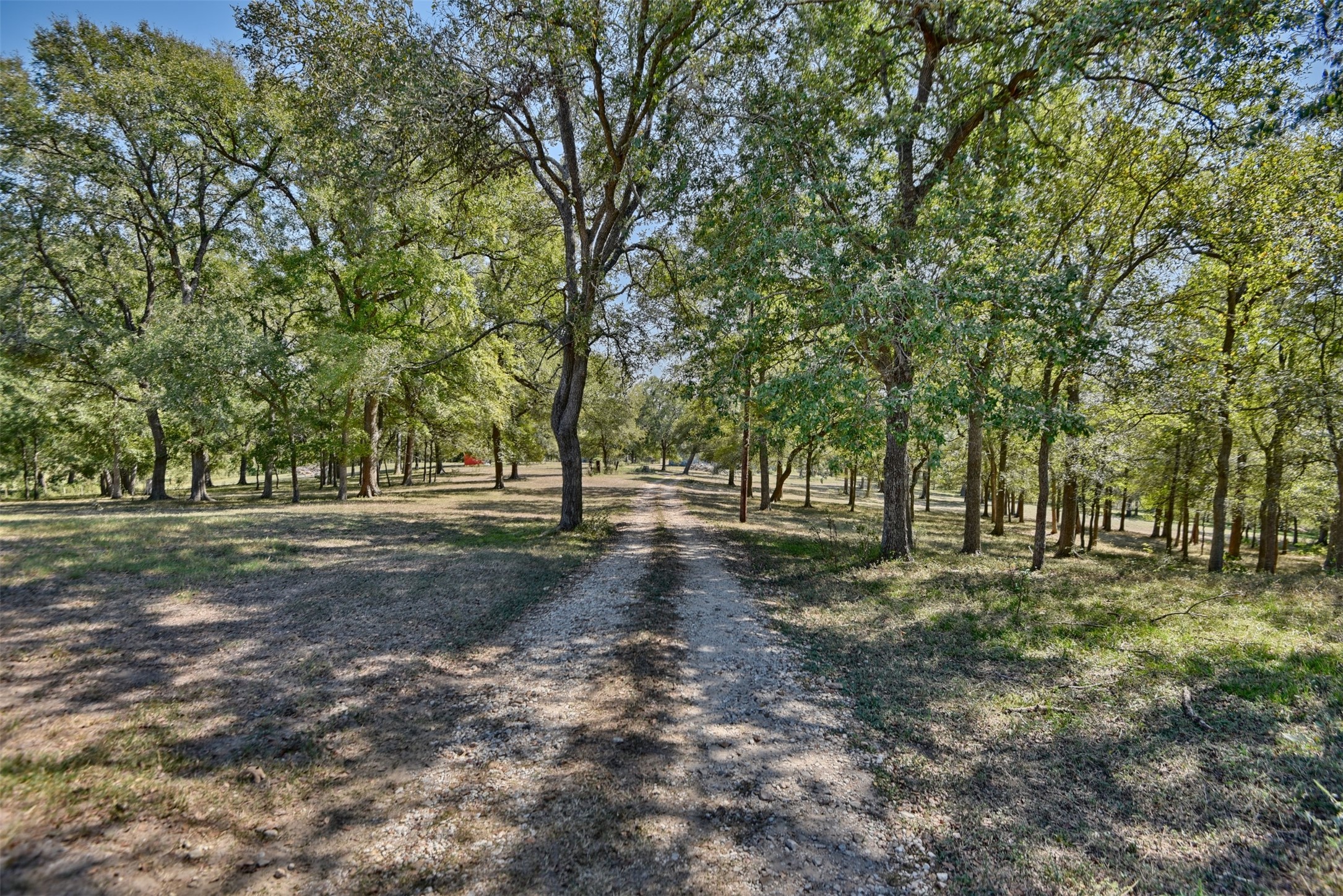 2161 Blue Hole Road , Bleiblerville, TX, 78931 | 42537238 | Realty Texas LLC
