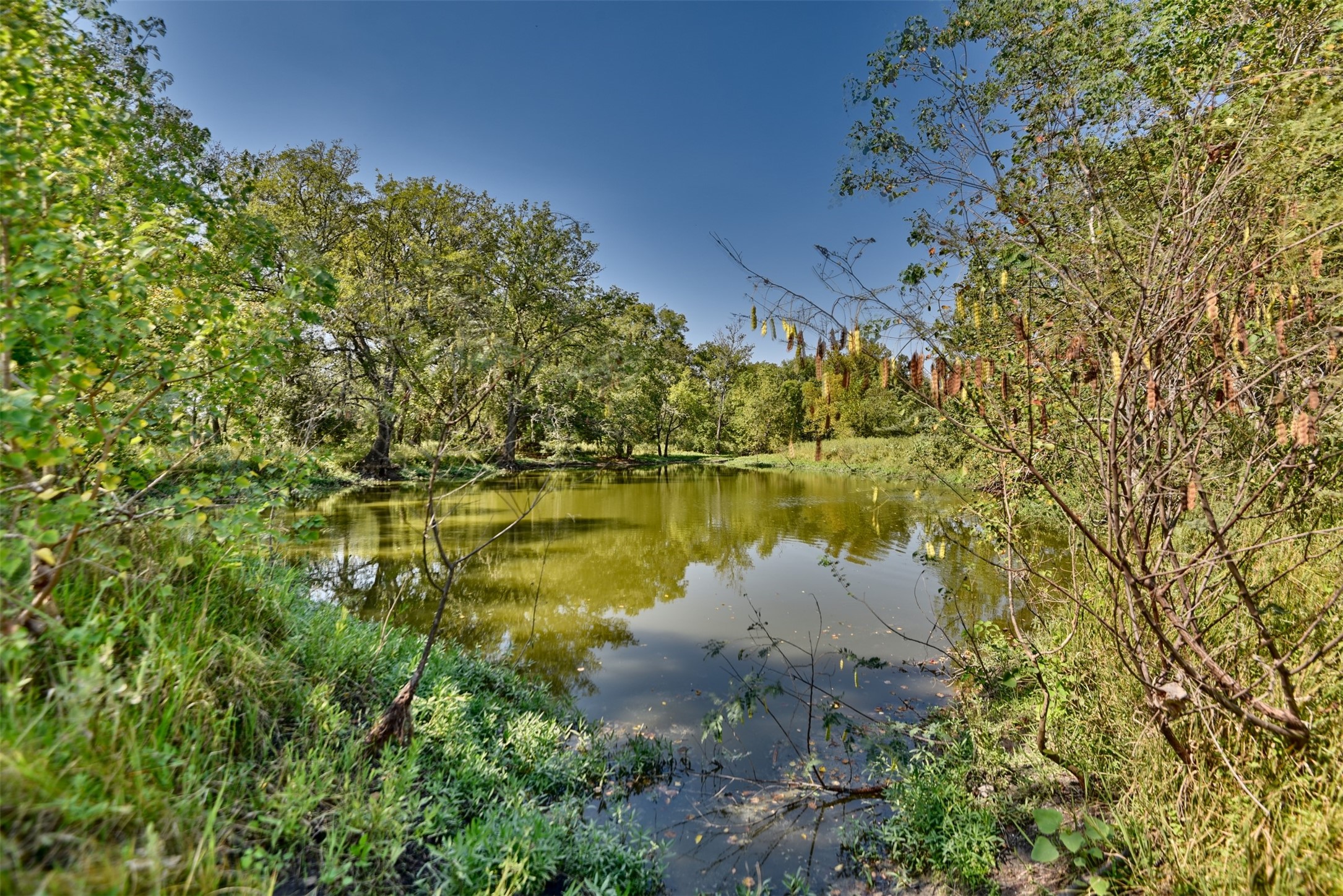 2161 Blue Hole Road , Bleiblerville, TX, 78931 | 42537238 | Realty Texas LLC