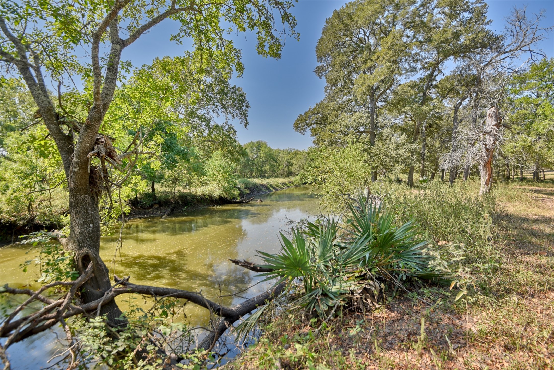 2161 Blue Hole Road , Bleiblerville, TX, 78931 | 42537238 | Realty Texas LLC