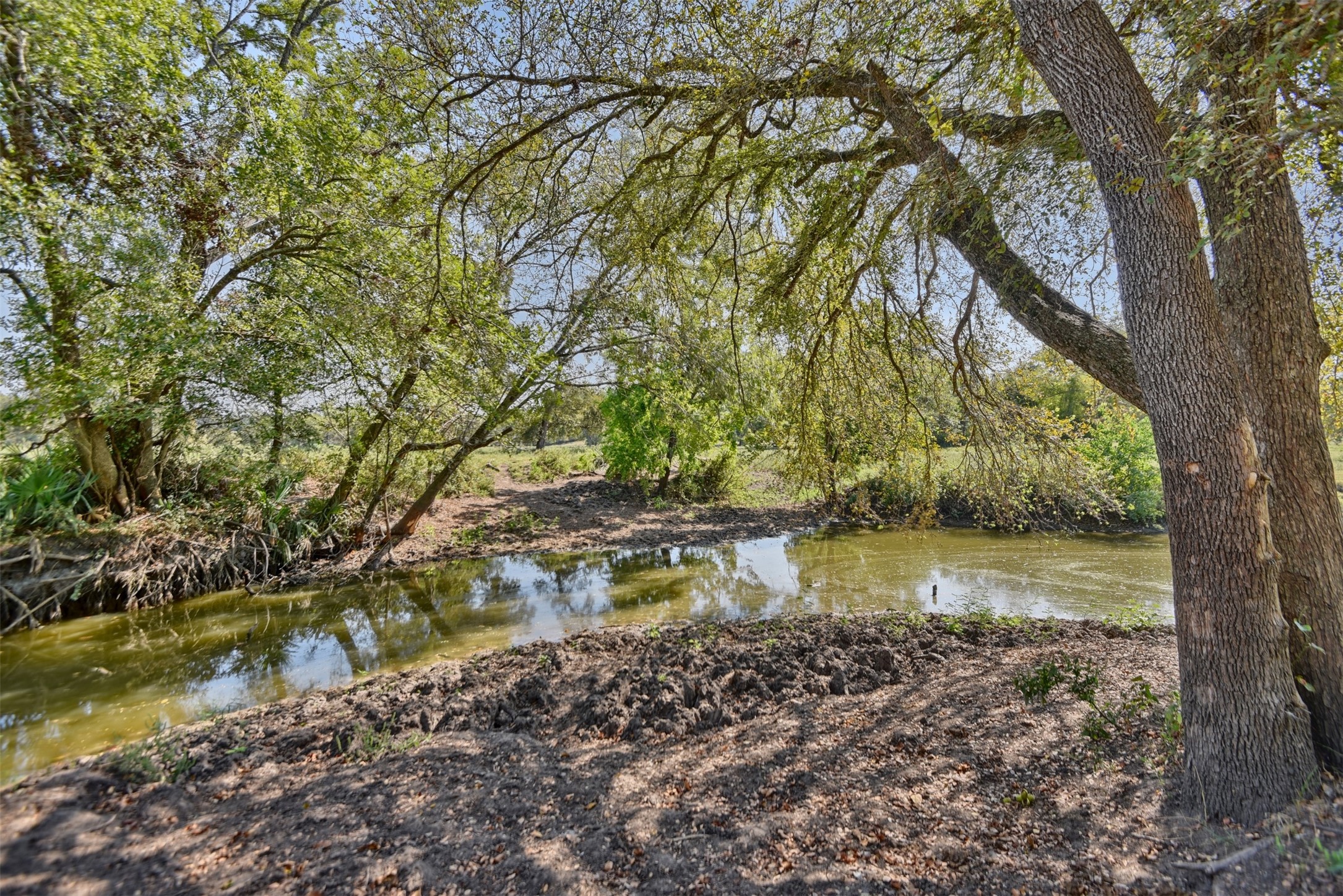 2161 Blue Hole Road , Bleiblerville, TX, 78931 | 42537238 | Realty Texas LLC