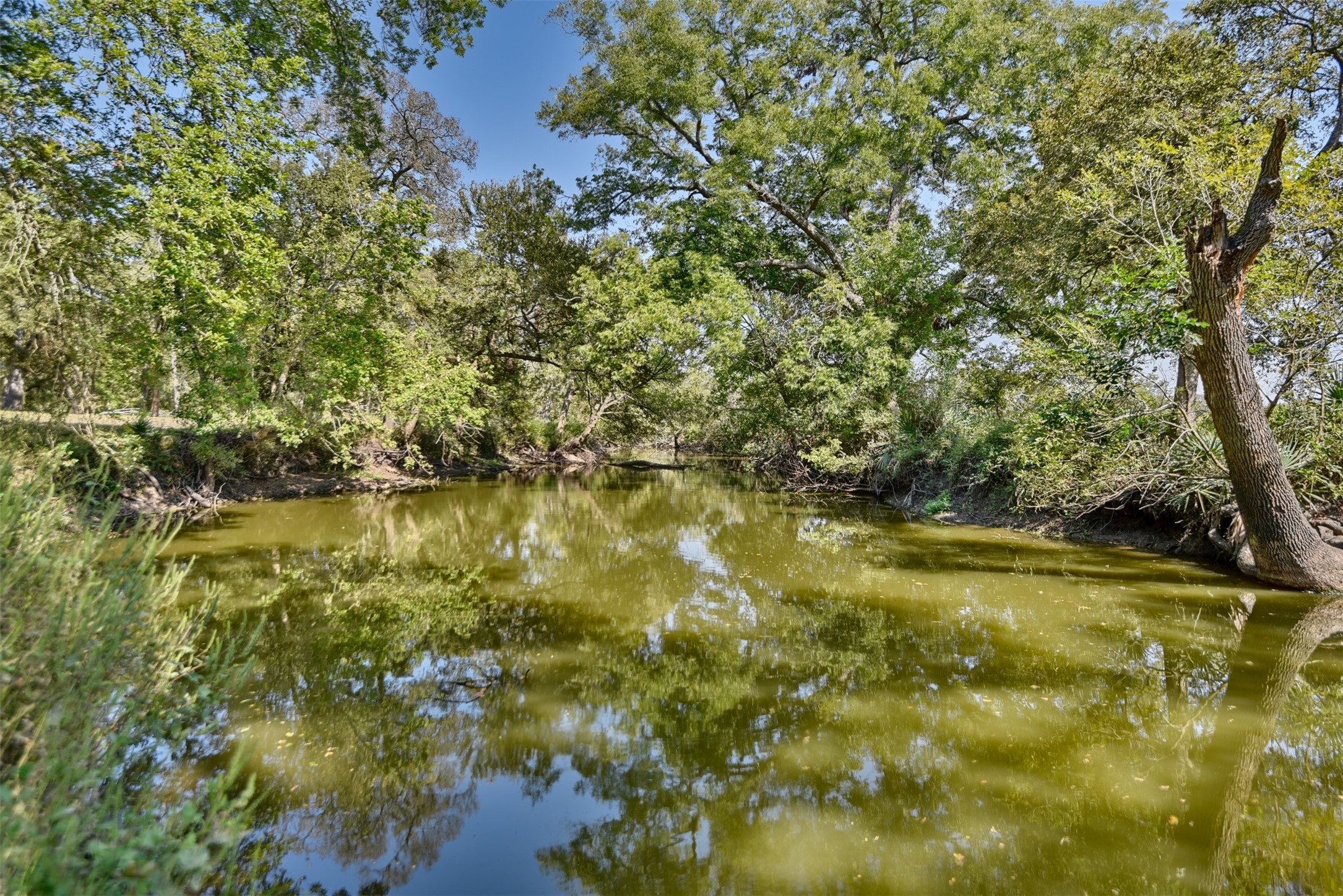 2161 Blue Hole Road , Bleiblerville, TX, 78931 | 42537238 | Realty Texas LLC