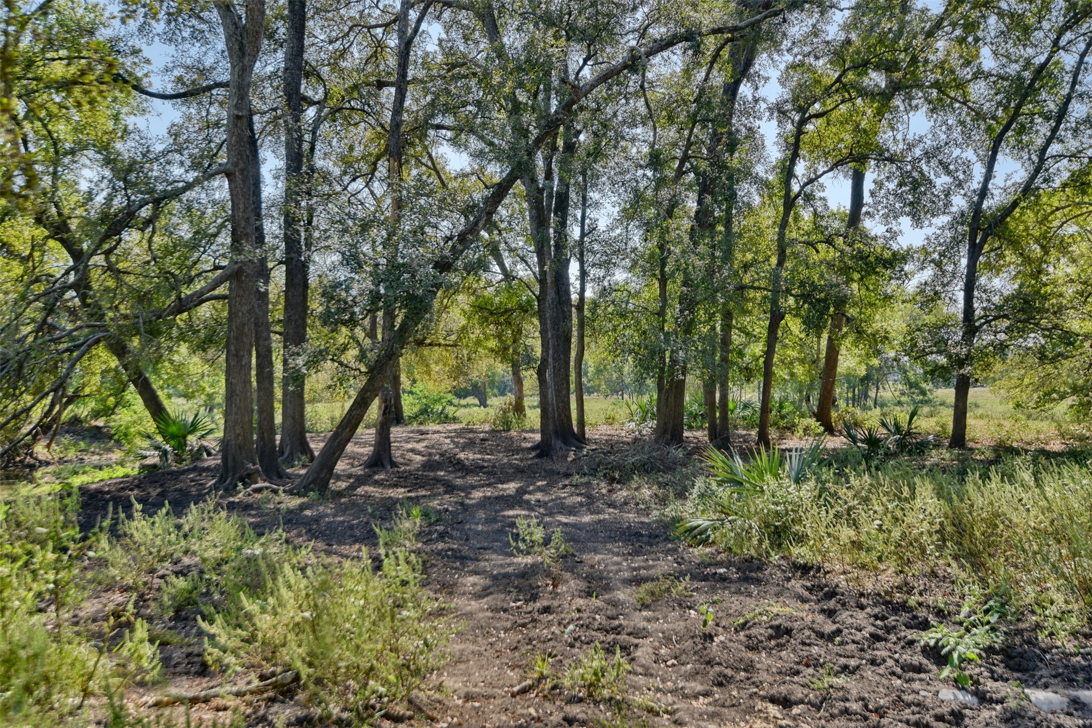 2161 Blue Hole Road , Bleiblerville, TX, 78931 | 42537238 | Realty Texas LLC
