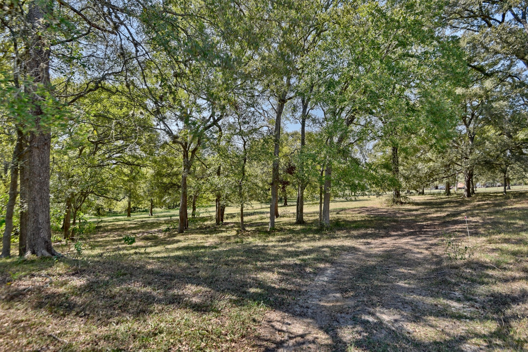2161 Blue Hole Road , Bleiblerville, TX, 78931 | 42537238 | Realty Texas LLC