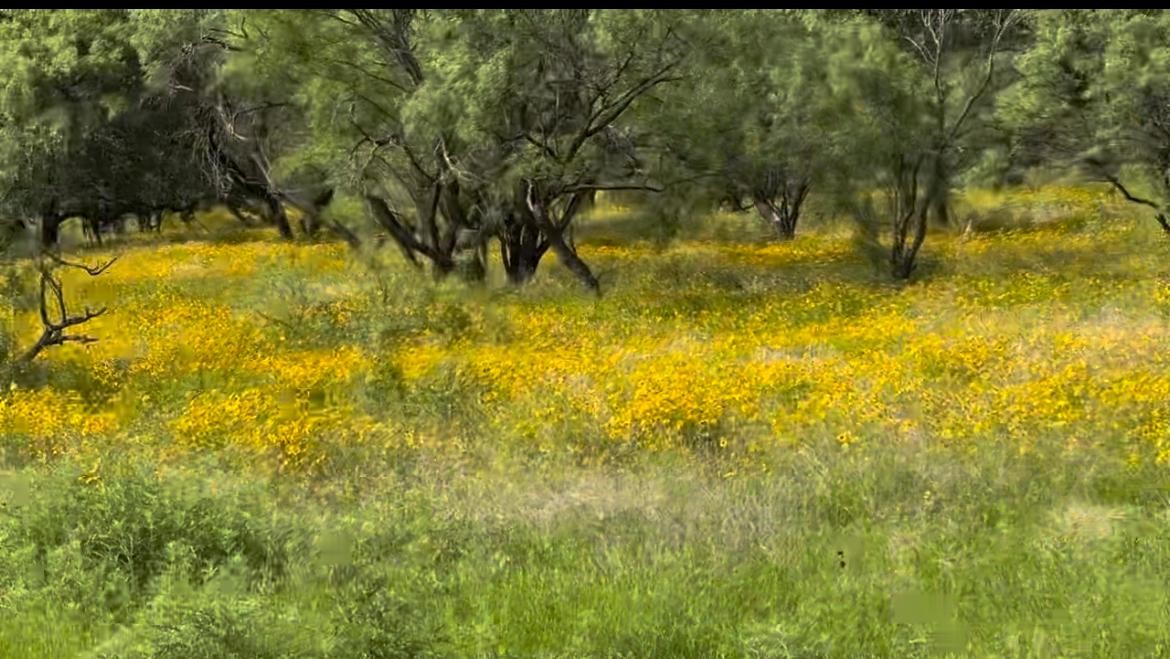 320 Pumphrey Road Lot 1 , Loving, TX, 76460 | 20758966 | Realty Texas LLC