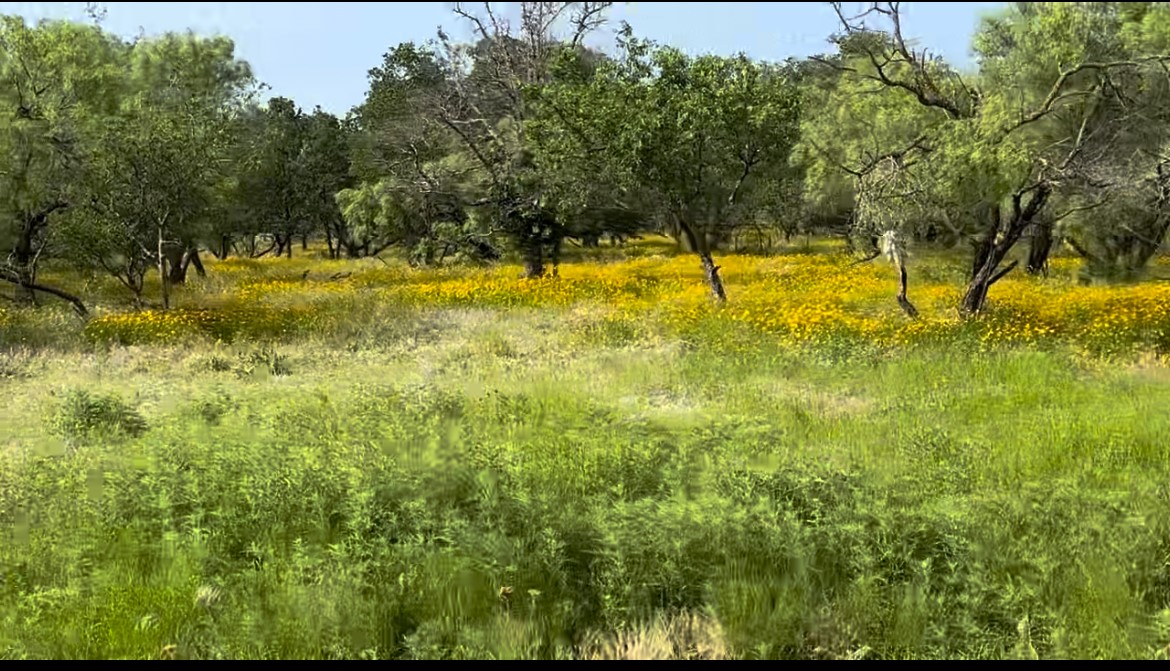 320 Pumphrey Road Lot 1 , Loving, TX, 76460 | 20758966 | Realty Texas LLC