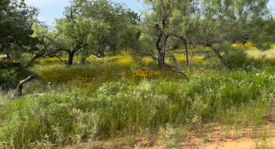 320 Pumphrey Road Lot 1 , Loving, TX, 76460 | 20758966 | Realty Texas LLC