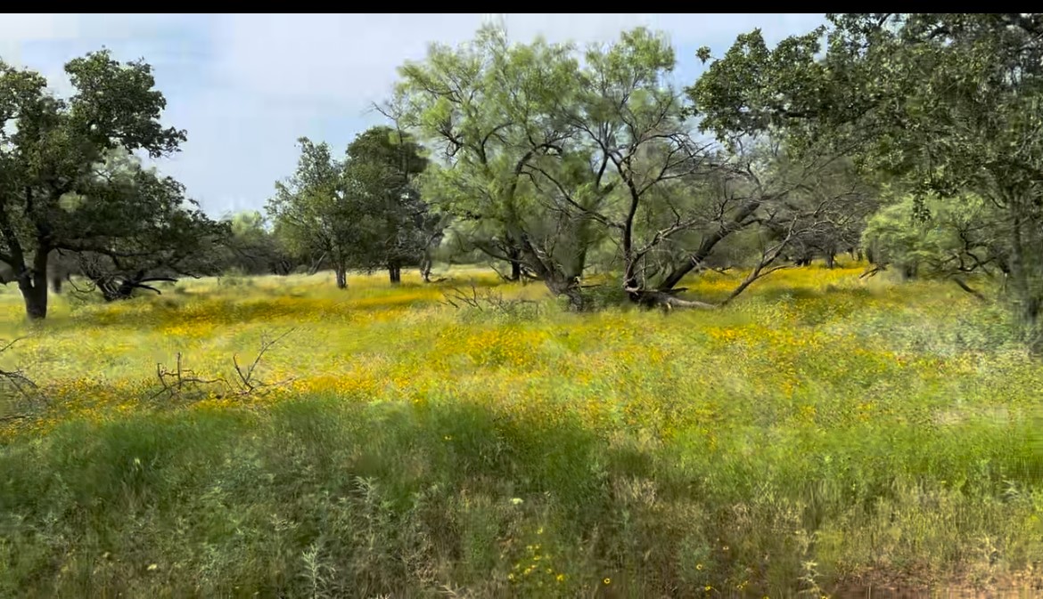 320 Pumphrey Road Lot 1 , Loving, TX, 76460 | 20758966 | Realty Texas LLC