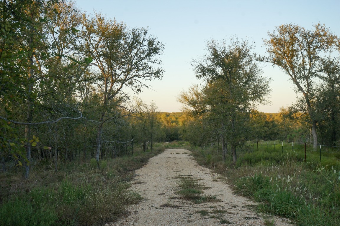 3935 County Road 464 , Elgin, TX, 78621 | 4424771 | Realty Texas LLC