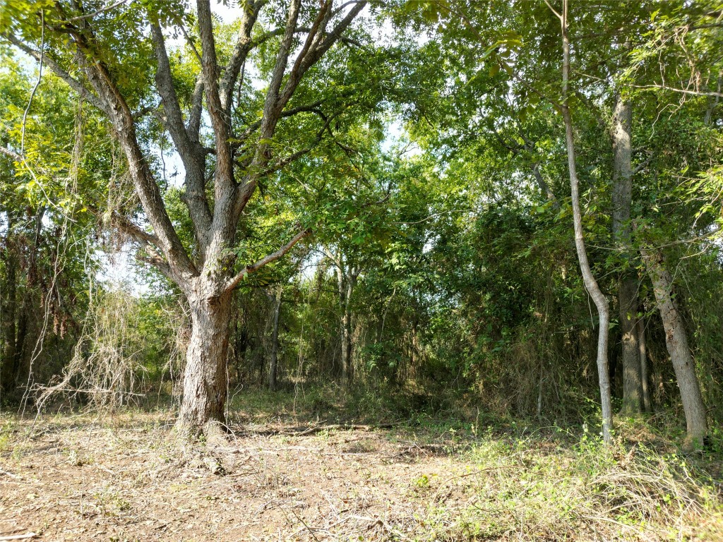 3935 County Road 464 , Elgin, TX, 78621 | 4424771 | Realty Texas LLC