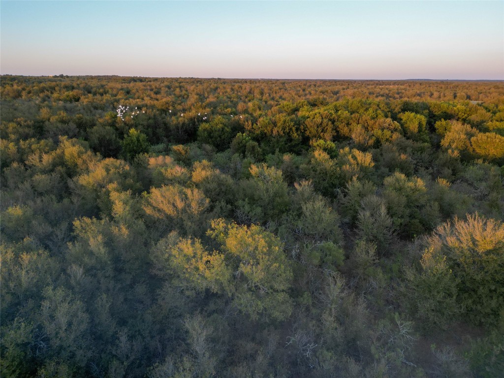 3935 County Road 464 , Elgin, TX, 78621 | 4424771 | Realty Texas LLC