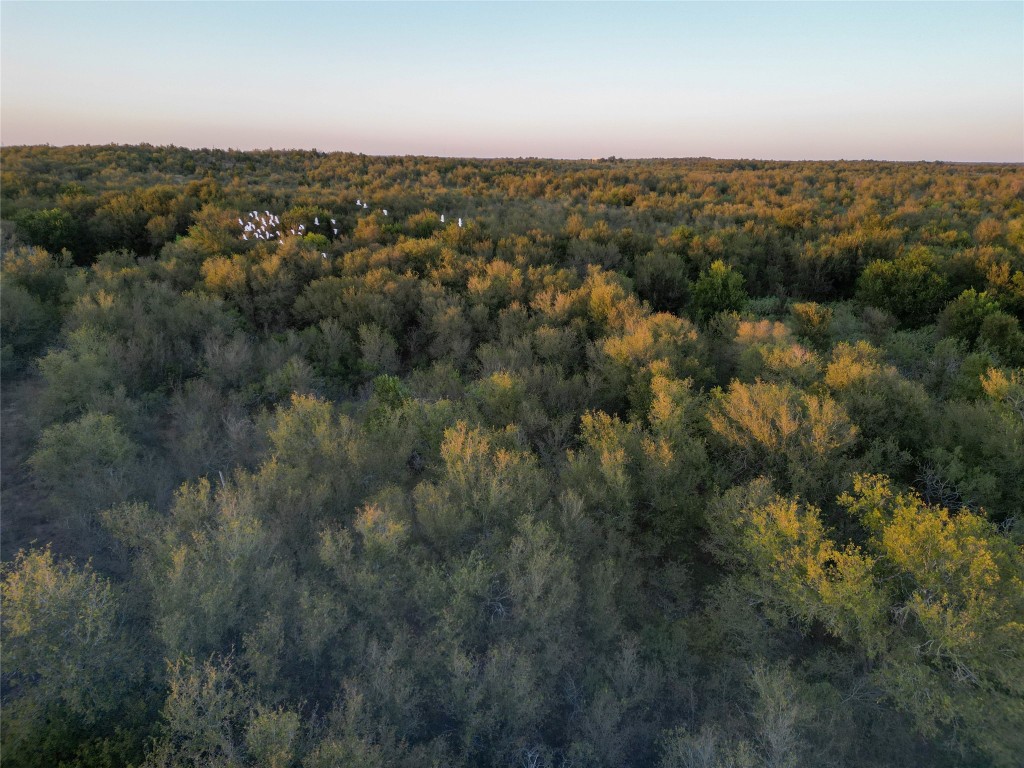 3935 County Road 464 , Elgin, TX, 78621 | 4424771 | Realty Texas LLC