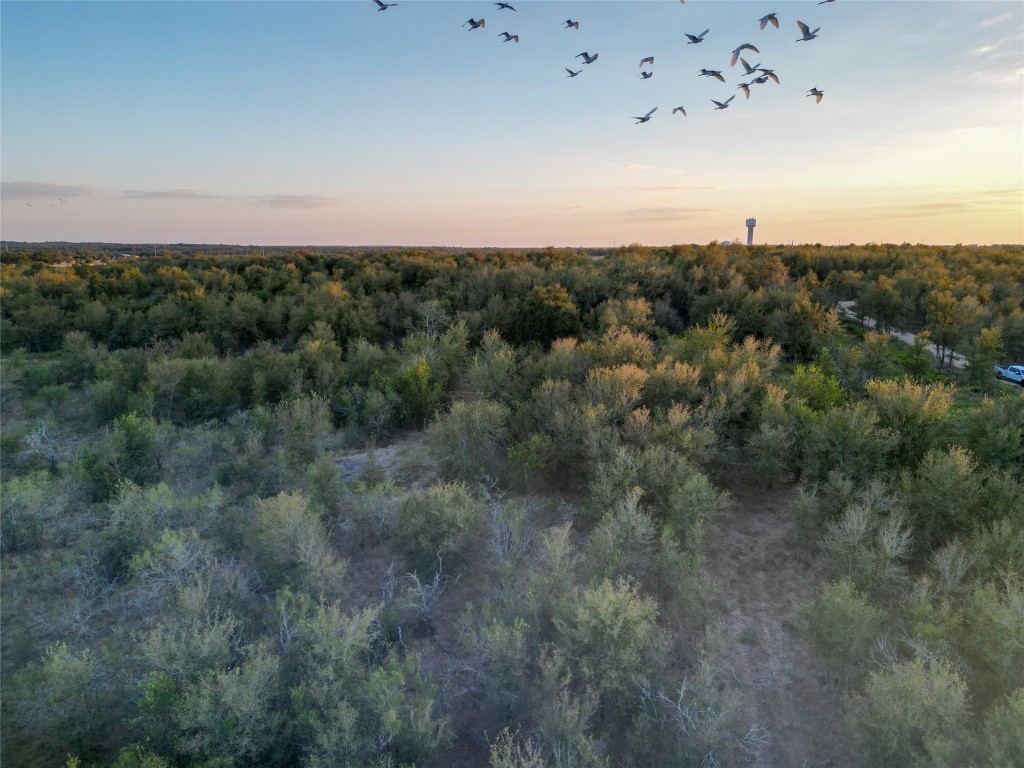 3935 County Road 464 , Elgin, TX, 78621 | 4424771 | Realty Texas LLC