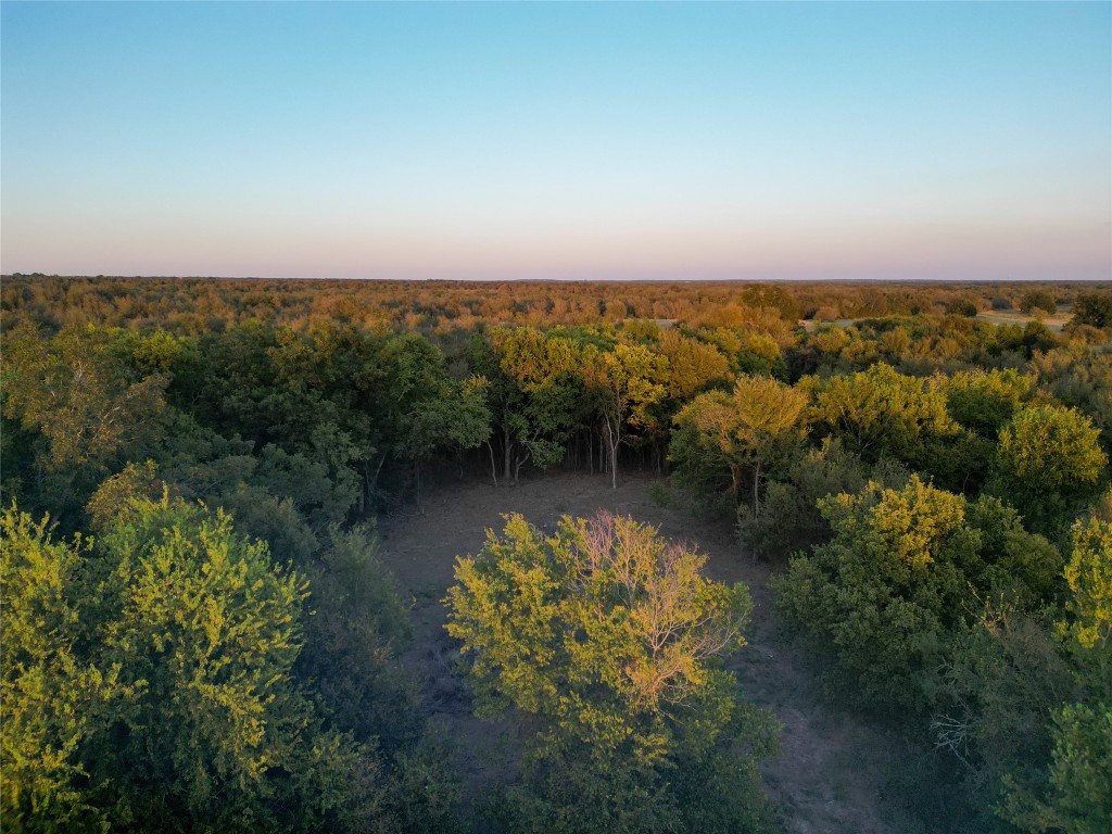 3935 County Road 464 , Elgin, TX, 78621 | 4424771 | Realty Texas LLC
