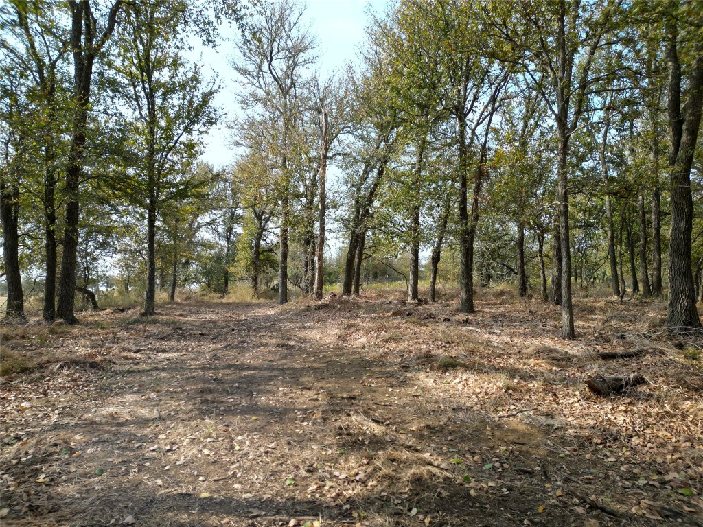 3935 County Road 464 , Elgin, TX, 78621 | 4424771 | Realty Texas LLC