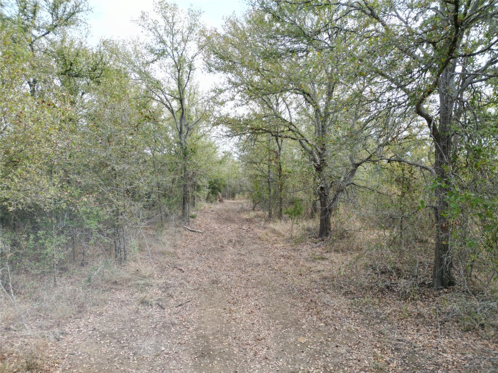 3935 County Road 464 , Elgin, TX, 78621 | 4424771 | Realty Texas LLC