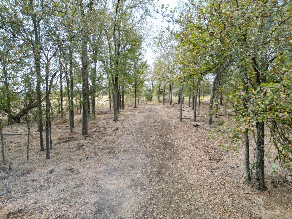 3935 County Road 464 , Elgin, TX, 78621 | 4424771 | Realty Texas LLC