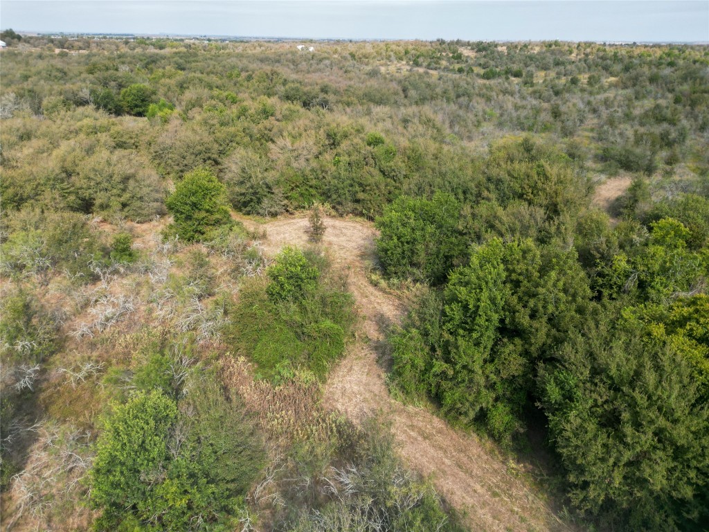 3935 County Road 464 , Elgin, TX, 78621 | 4424771 | Realty Texas LLC