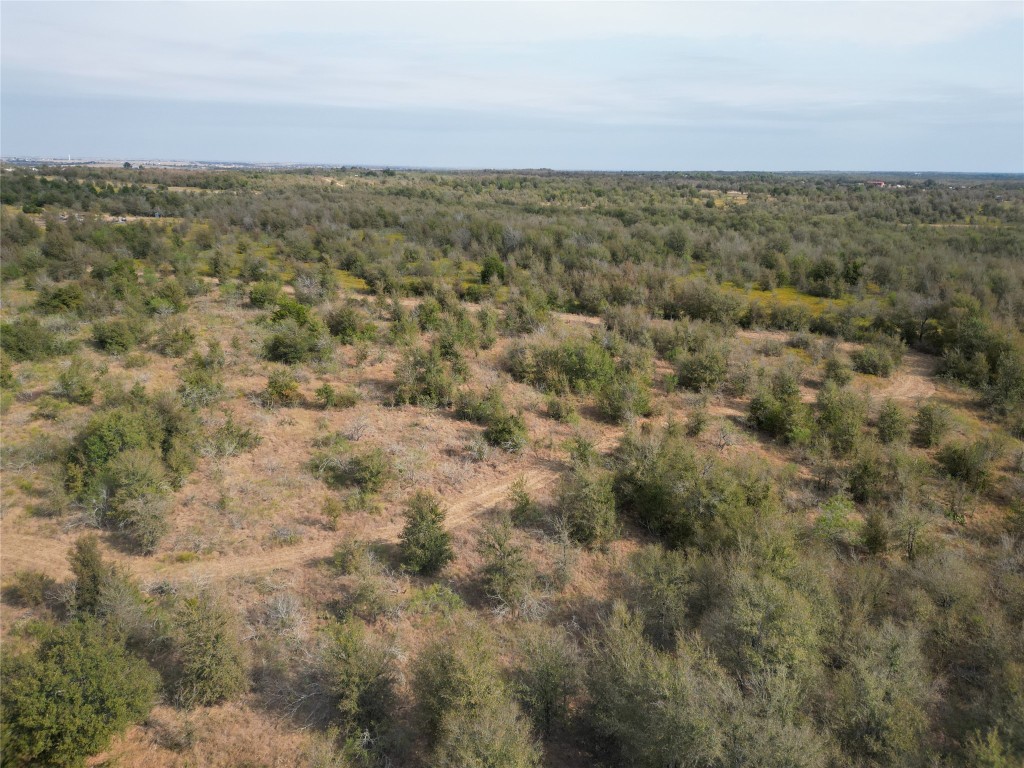 3935 County Road 464 , Elgin, TX, 78621 | 4424771 | Realty Texas LLC