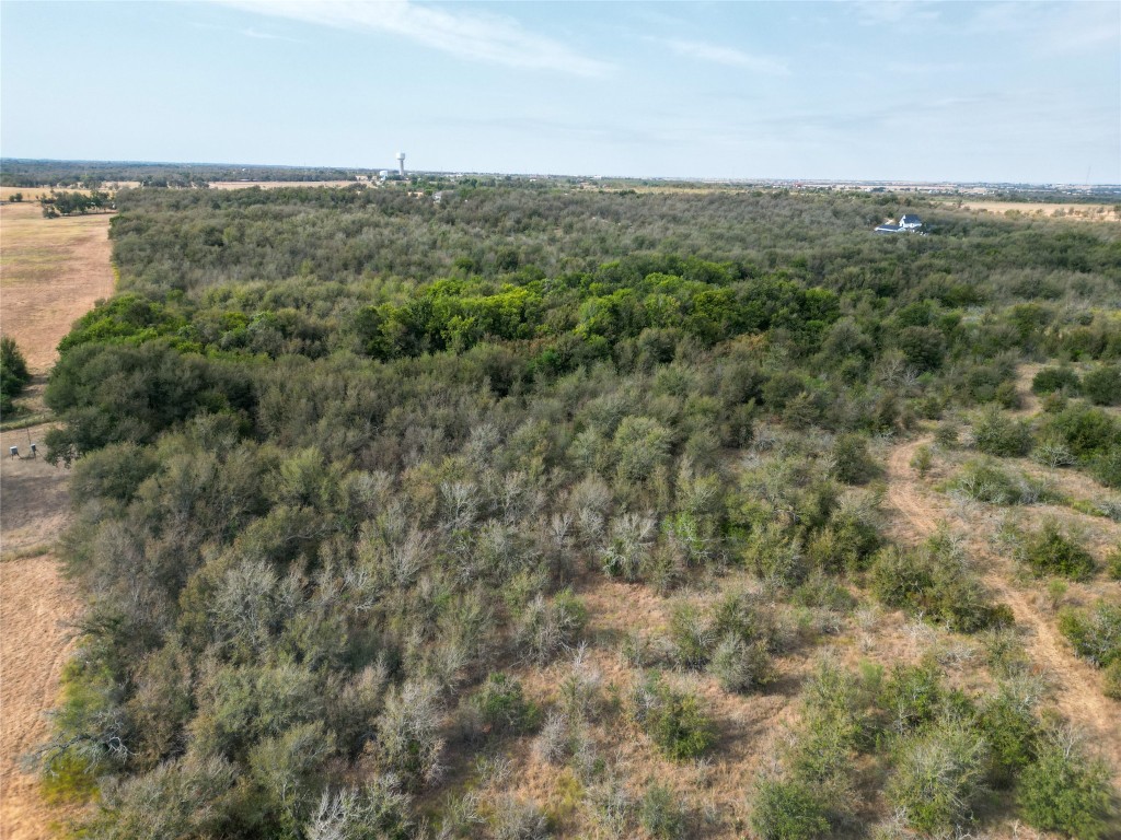 3935 County Road 464 , Elgin, TX, 78621 | 4424771 | Realty Texas LLC
