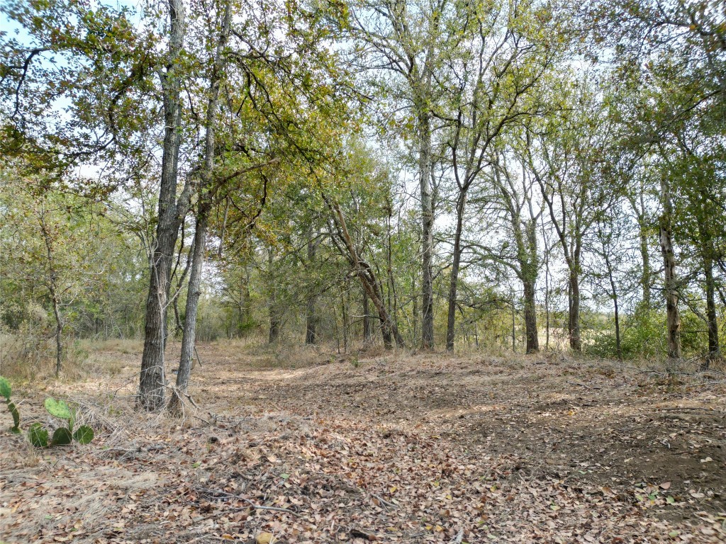 3935 County Road 464 , Elgin, TX, 78621 | 4424771 | Realty Texas LLC