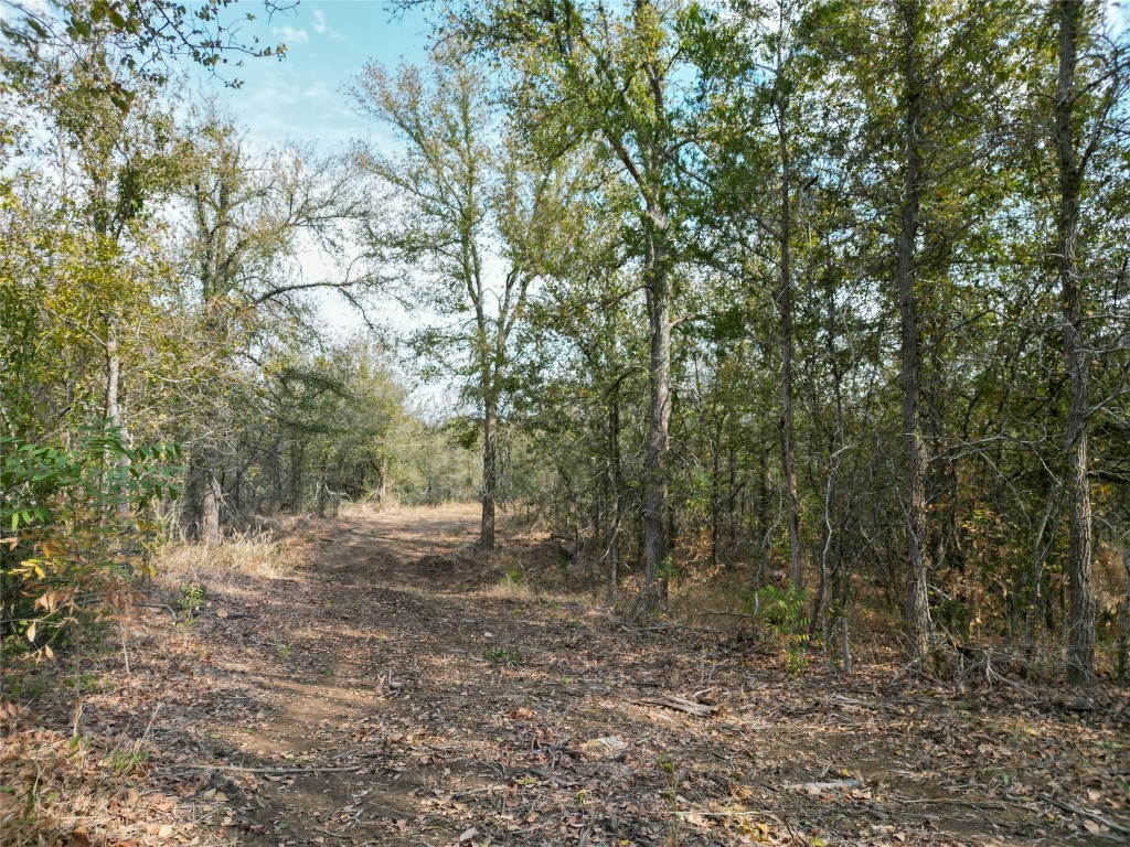 3935 County Road 464 , Elgin, TX, 78621 | 4424771 | Realty Texas LLC