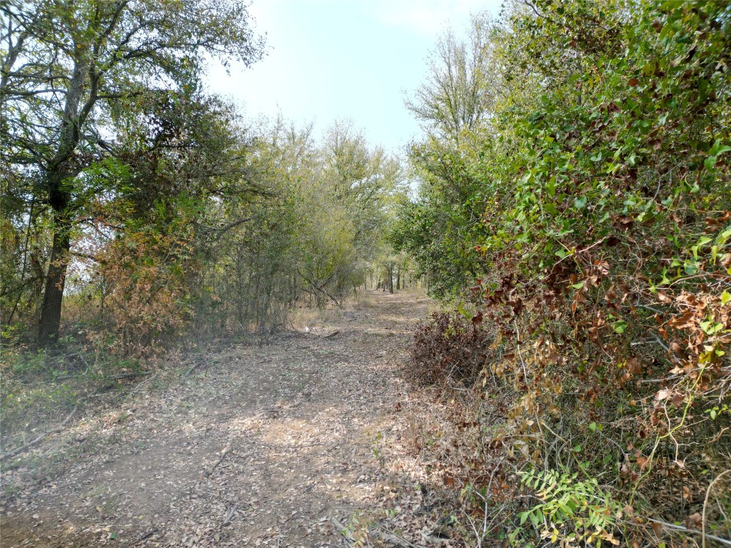 3935 County Road 464 , Elgin, TX, 78621 | 4424771 | Realty Texas LLC