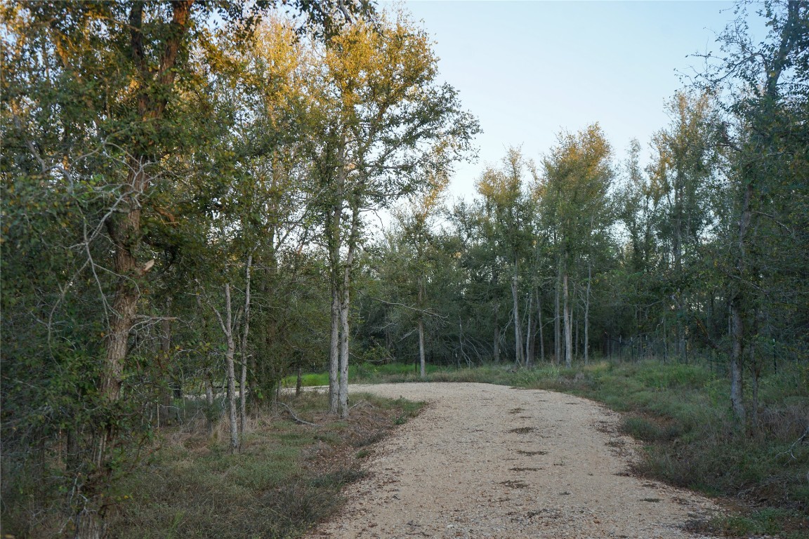 3935 County Road 464 , Elgin, TX, 78621 | 4424771 | Realty Texas LLC