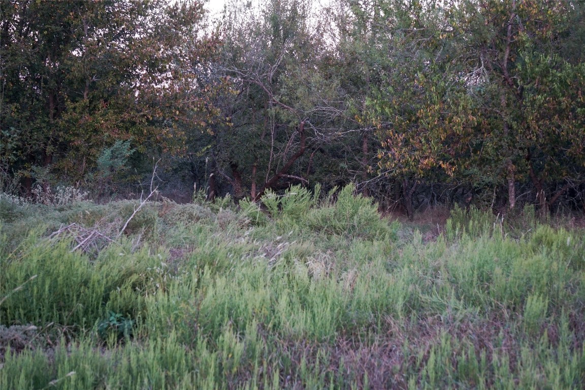 3935 County Road 464 , Elgin, TX, 78621 | 4424771 | Realty Texas LLC