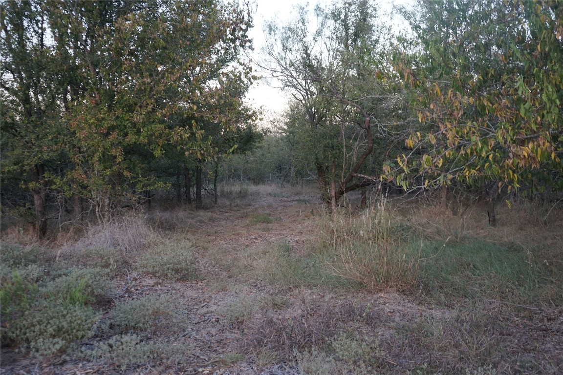 3935 County Road 464 , Elgin, TX, 78621 | 4424771 | Realty Texas LLC