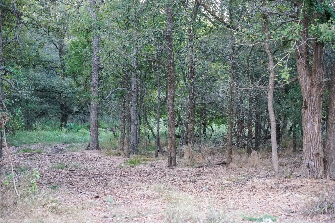 3935 County Road 464 , Elgin, TX, 78621 | 4424771 | Realty Texas LLC