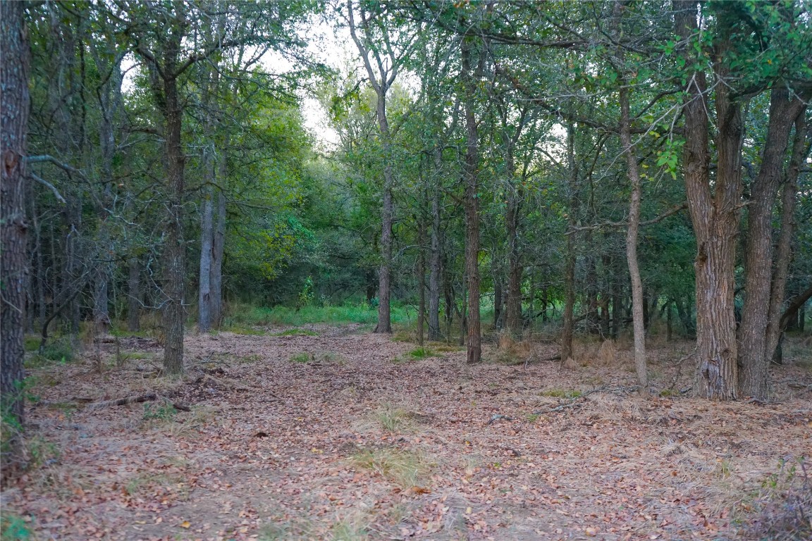 3935 County Road 464 , Elgin, TX, 78621 | 4424771 | Realty Texas LLC