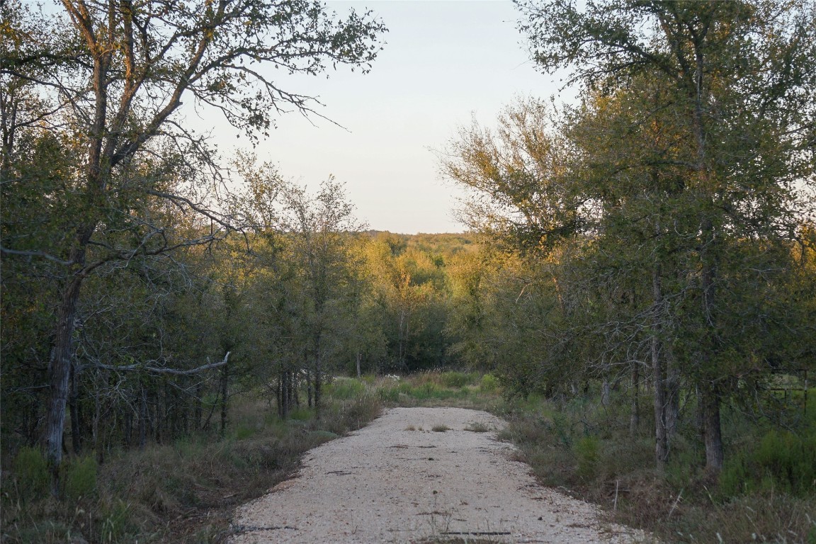 3935 County Road 464 , Elgin, TX, 78621 | 4424771 | Realty Texas LLC