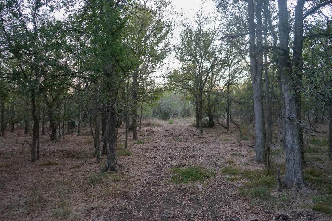 3935 County Road 464 , Elgin, TX, 78621 | 4424771 | Realty Texas LLC