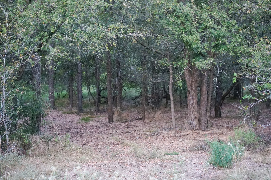 3935 County Road 464 , Elgin, TX, 78621 | 4424771 | Realty Texas LLC